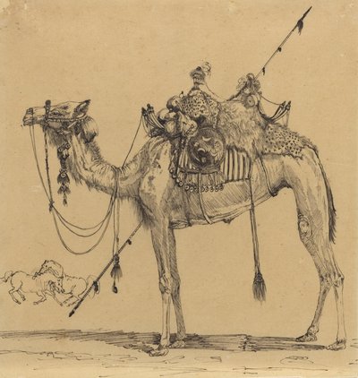 Il cammello da Rodolphe Bresdin